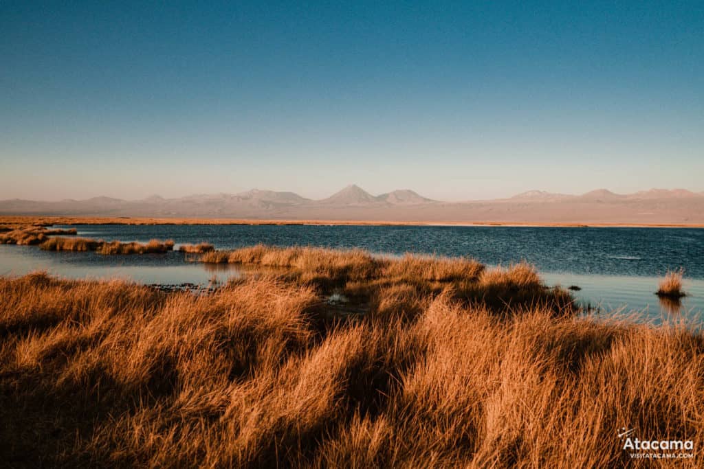 Laguna Tebinquiche, Deserto do Atacama - Chile | Foto: Robson Franzoi