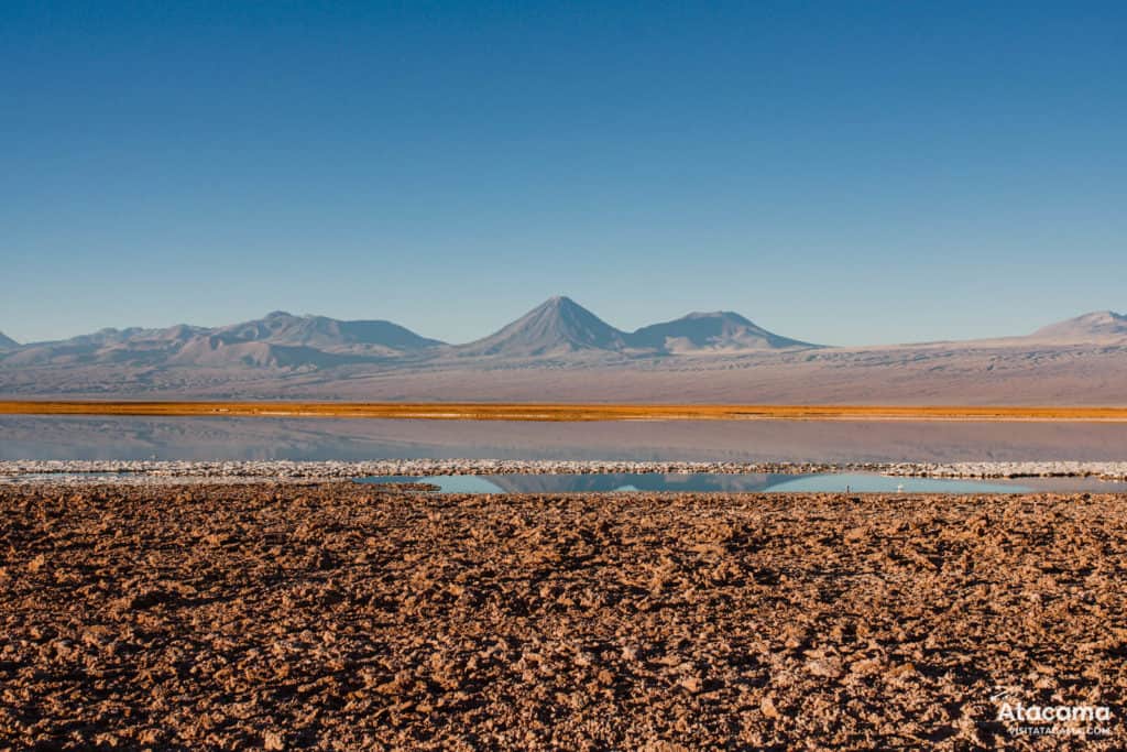 Laguna Tebinquiche, Deserto do Atacama - Chile | Foto: Robson Franzoi