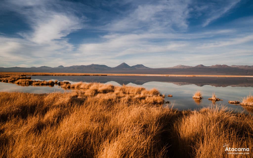 Laguna Tebinquiche, Deserto do Atacama - Chile | Foto: Robson Franzoi