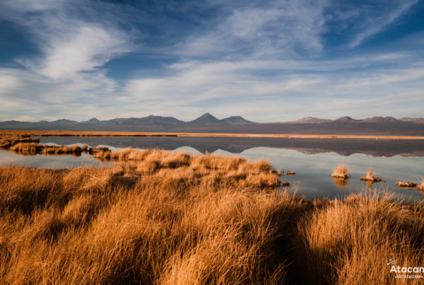 Laguna Tebinquiche, Deserto do Atacama - Chile | Foto: Robson Franzoi