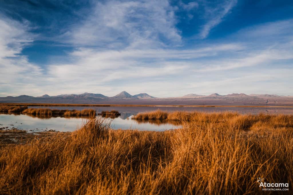 Laguna Tebinquiche, Deserto do Atacama - Chile | Foto: Robson Franzoi