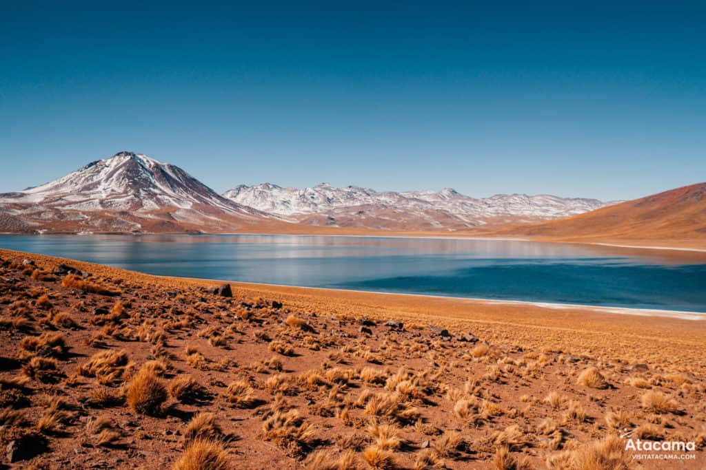 Lagunas Altiplânicas - Deserto do Atacama, Chile