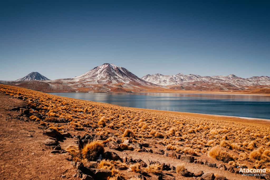 Lagunas Altiplânicas - Deserto do Atacama, Chile