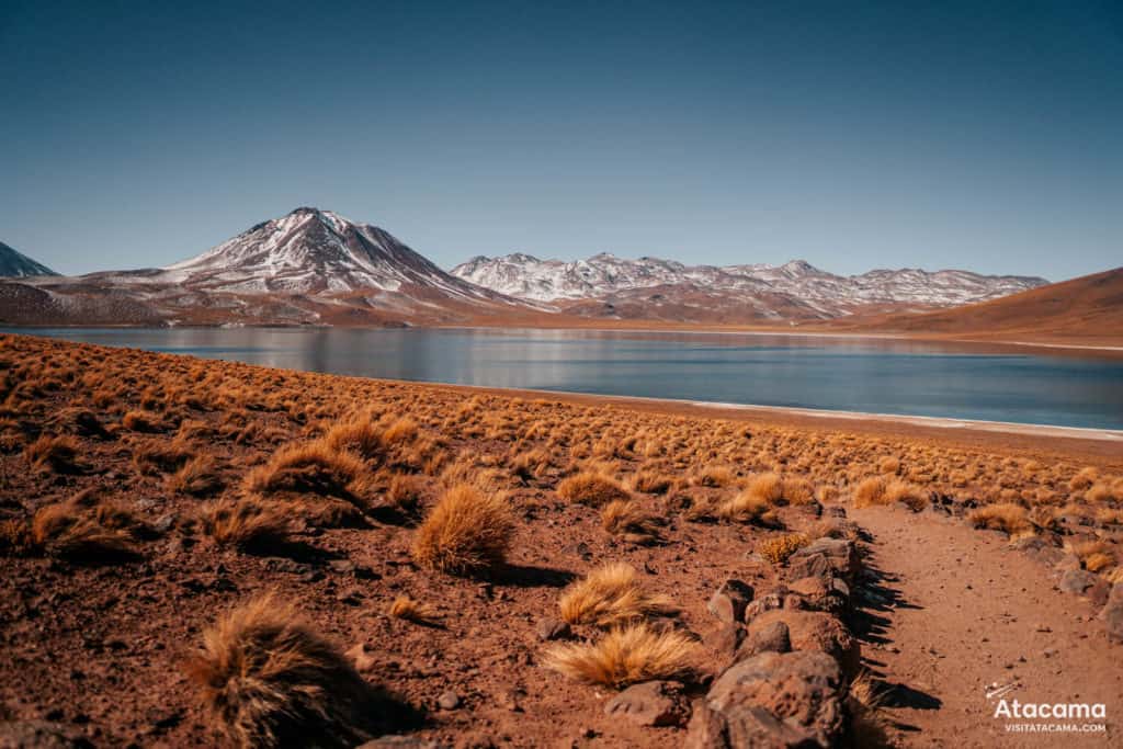 Lagunas Altiplânicas - Deserto do Atacama, Chile