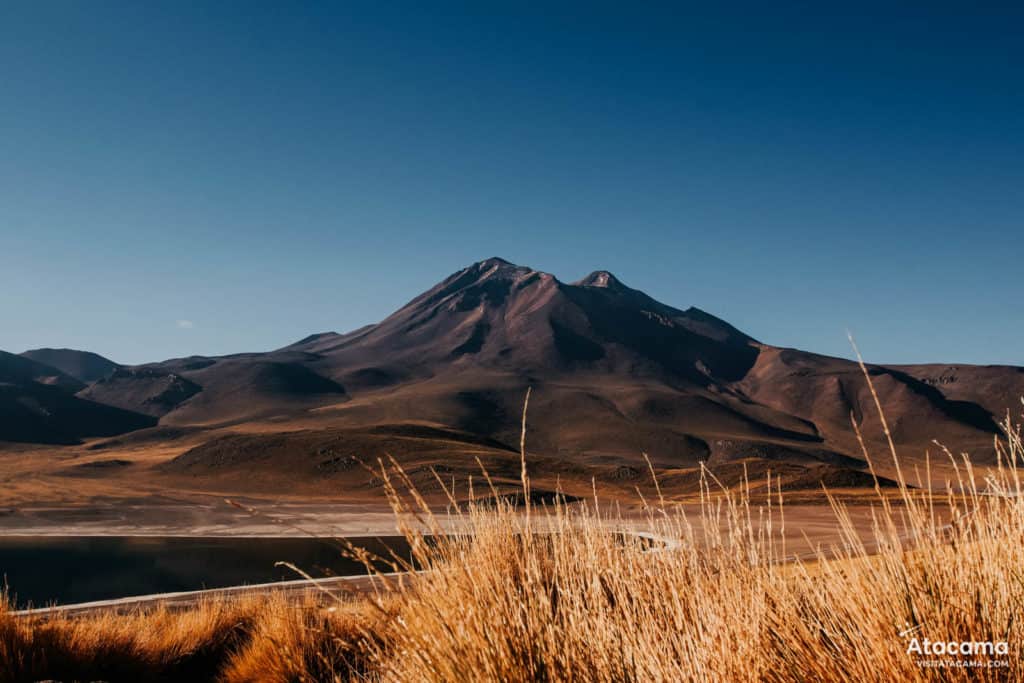 Lagunas Altiplânicas - Deserto do Atacama, Chile