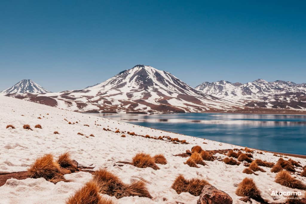 Lagunas Altiplânicas - Deserto do Atacama, Chile