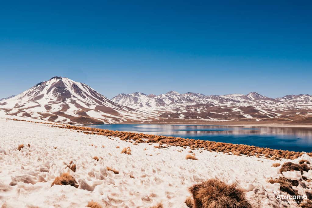 Lagunas Altiplânicas - Deserto do Atacama, Chile