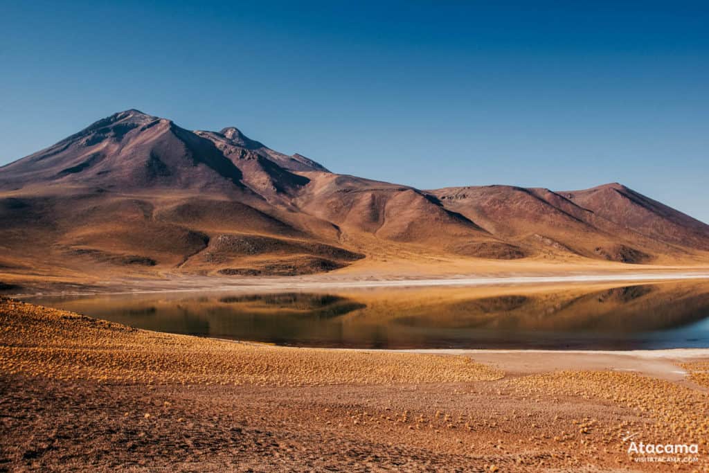 Lagunas Altiplânicas - Deserto do Atacama, Chile