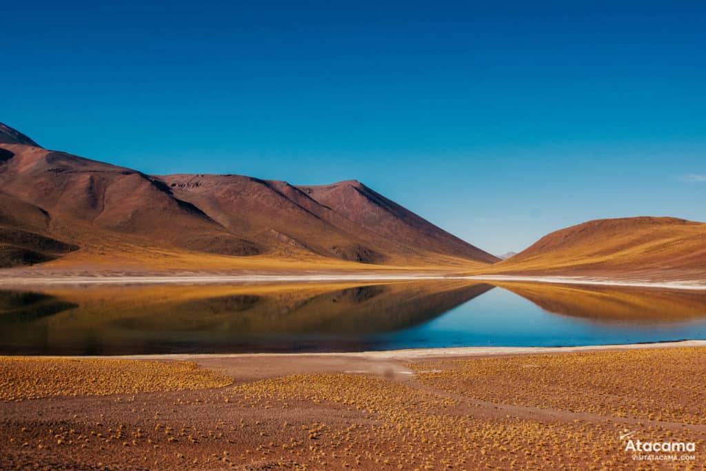 Lagunas Altiplânicas - Deserto do Atacama, Chile