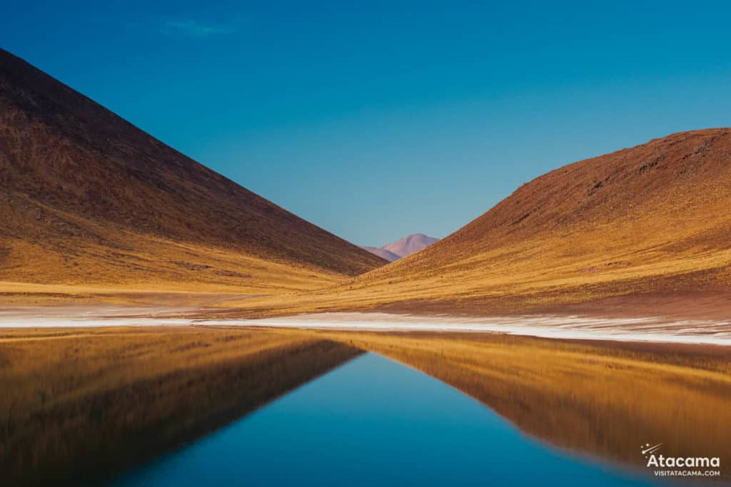 Lagunas Altiplânicas - Deserto do Atacama, Chile