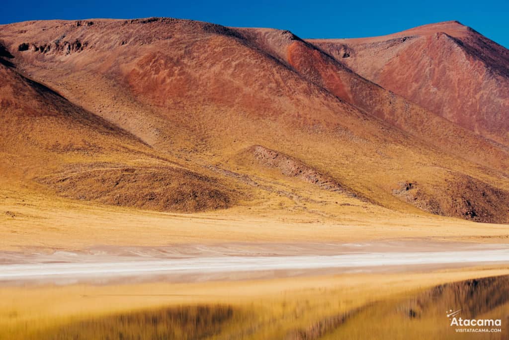 Lagunas Altiplânicas - Deserto do Atacama, Chile