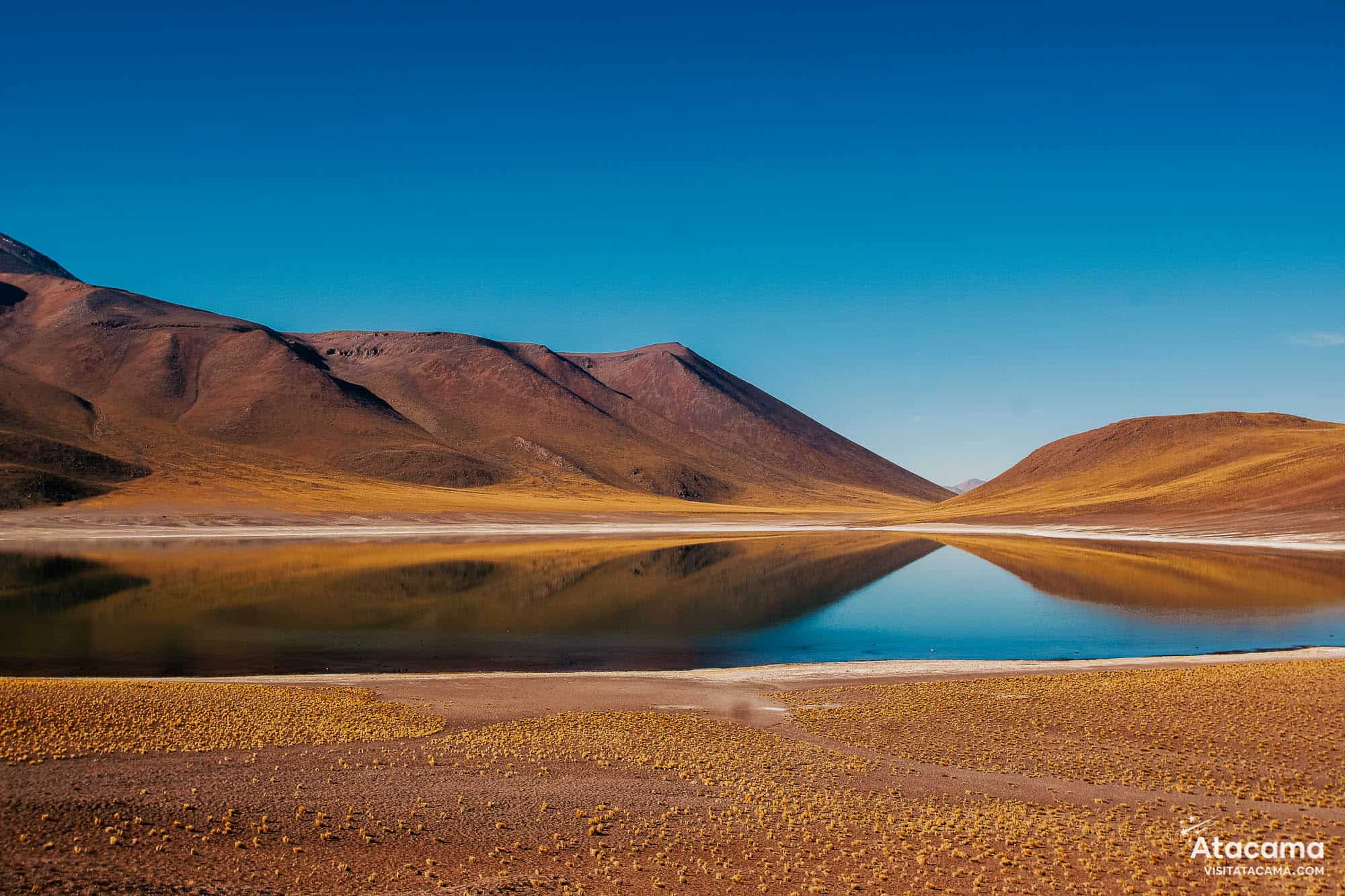 Lagunas Altiplânicas