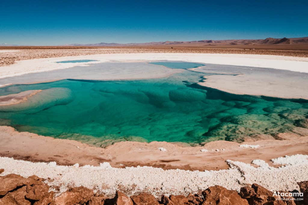 Lagunas Escondidas de Baltinache - Deserto do Atacama, Chile | Foto: Robson Franzoi