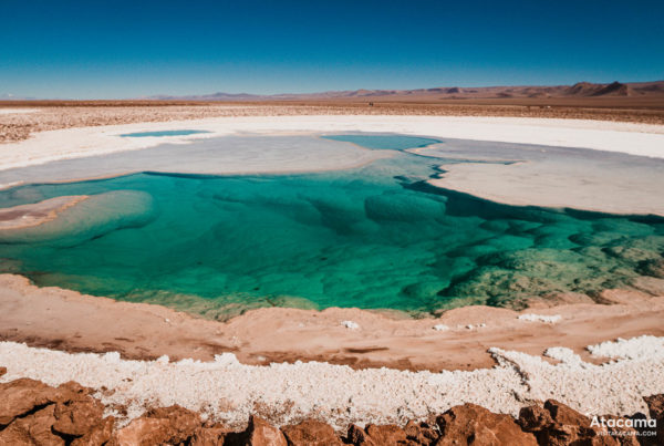 Lagunas Escondidas de Baltinache - Deserto do Atacama, Chile | Foto: Robson Franzoi