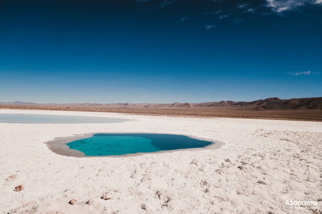 Lagunas Escondidas de Baltinache - Deserto do Atacama, Chile | Foto: Robson Franzoi