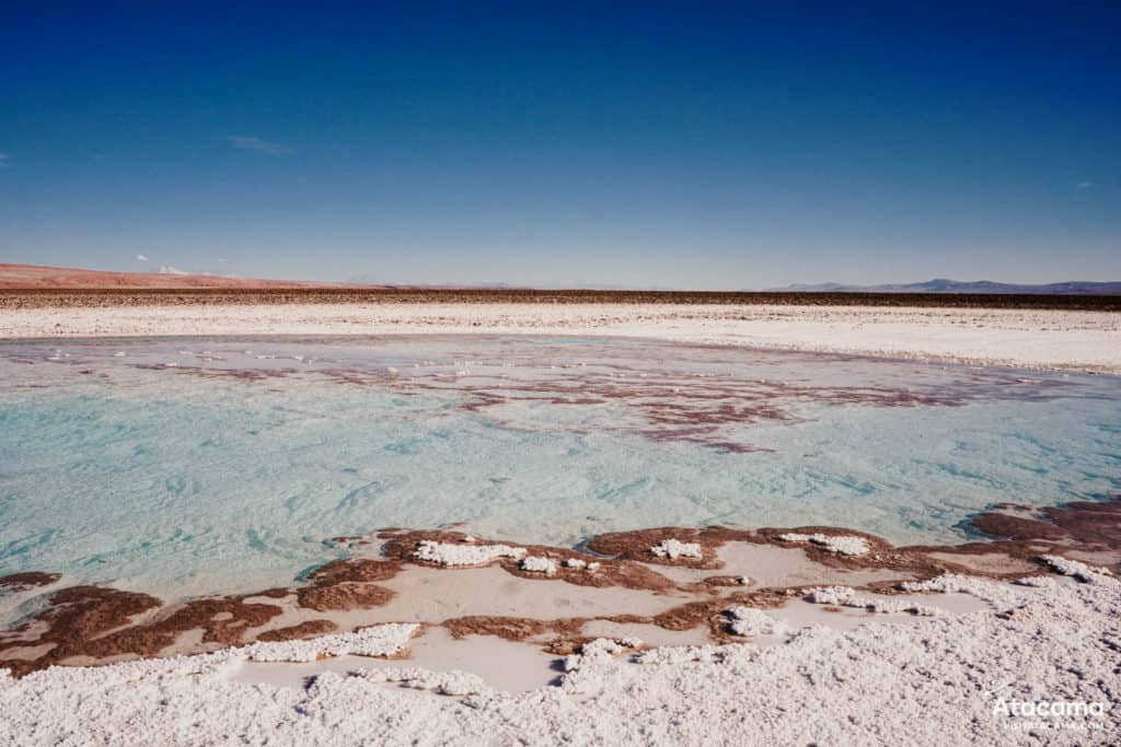 Lagunas Escondidas de Baltinache - Deserto do Atacama, Chile | Foto: Robson Franzoi