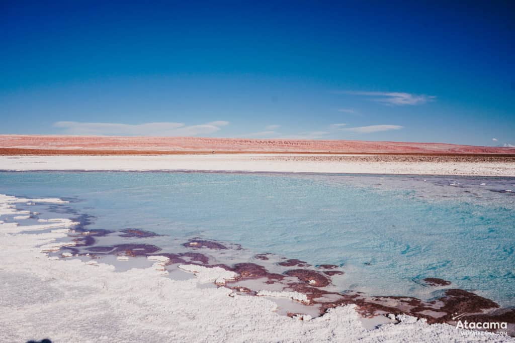 Lagunas Escondidas de Baltinache - Deserto do Atacama, Chile | Foto: Robson Franzoi