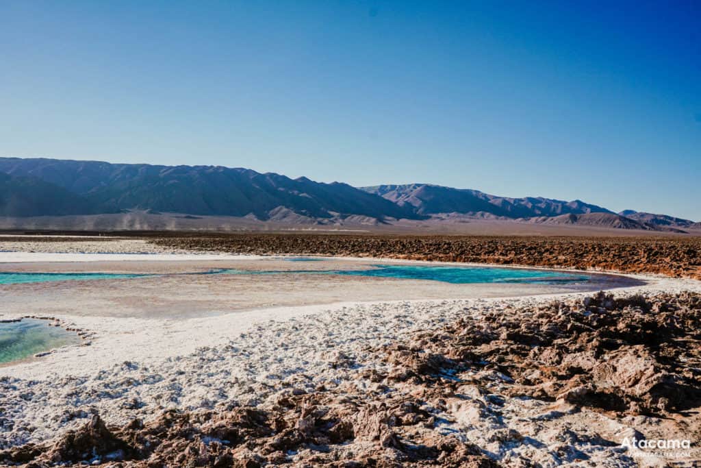 Lagunas Escondidas de Baltinache - Deserto do Atacama, Chile | Foto: Robson Franzoi