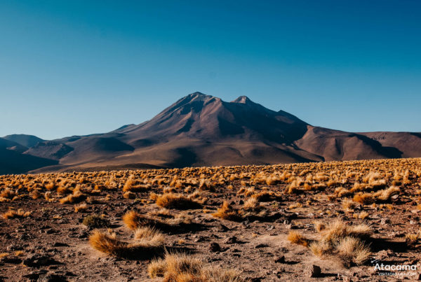 Qual moeda levar para o Atacama