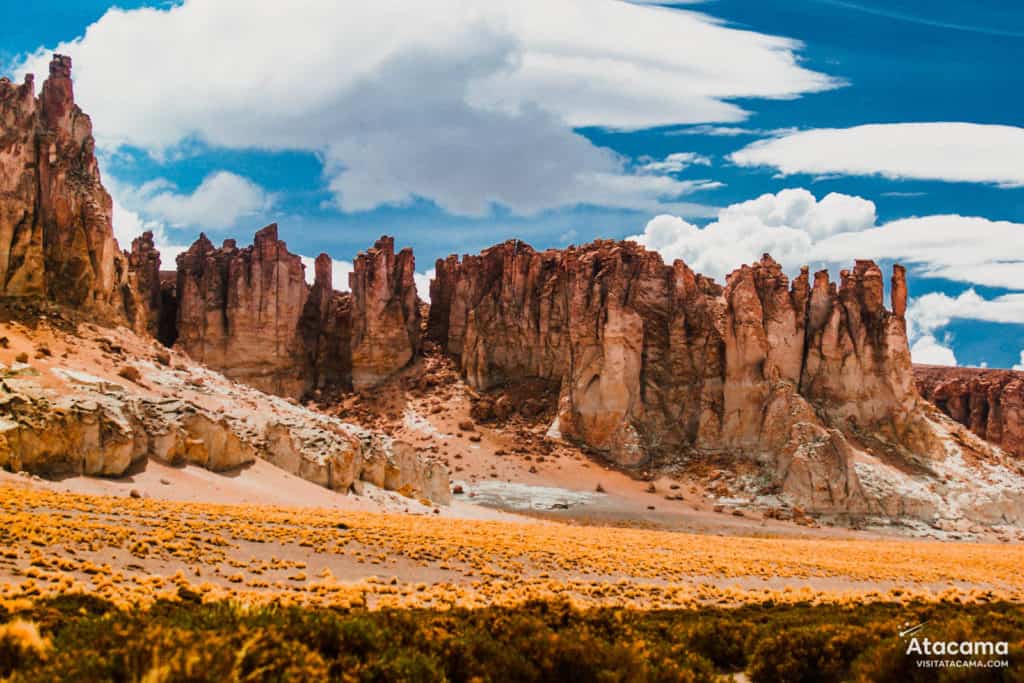 Salar de Tara no Deserto do Atacama, Chile | Foto: Robson Franzoi