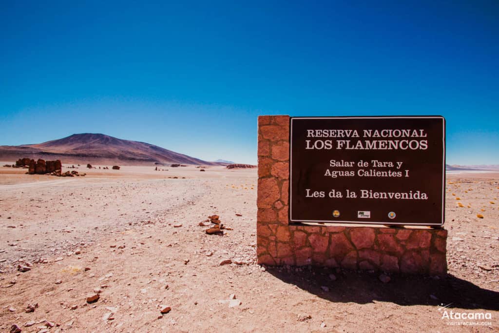 Salar de Tara no Deserto do Atacama, Chile | Foto: Robson Franzoi