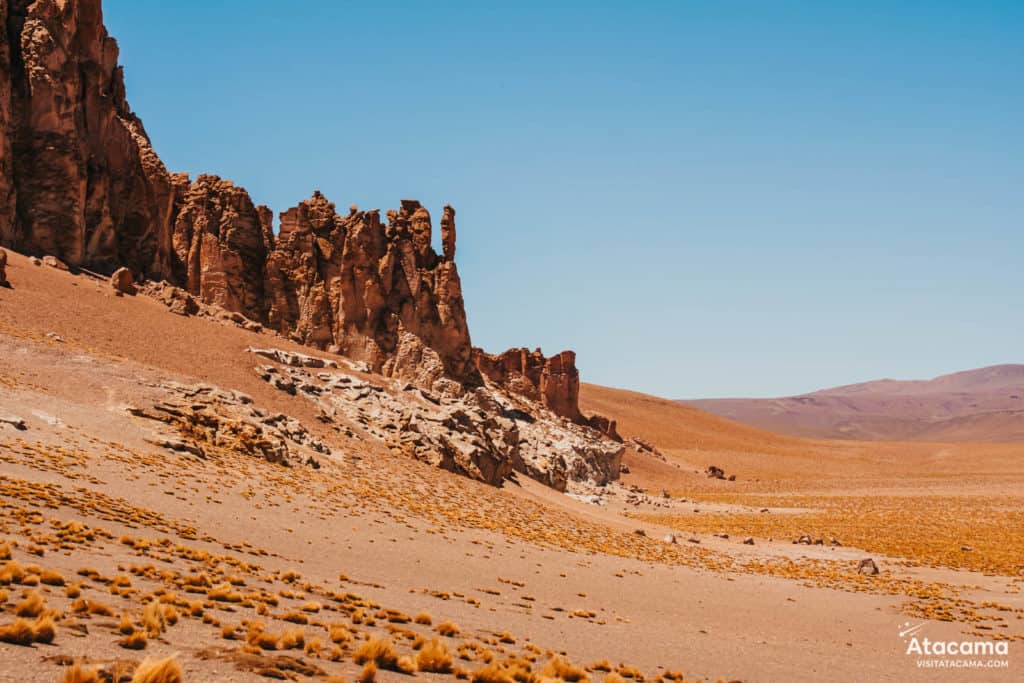 Salar de Tara no Deserto do Atacama, Chile | Foto: Robson Franzoi