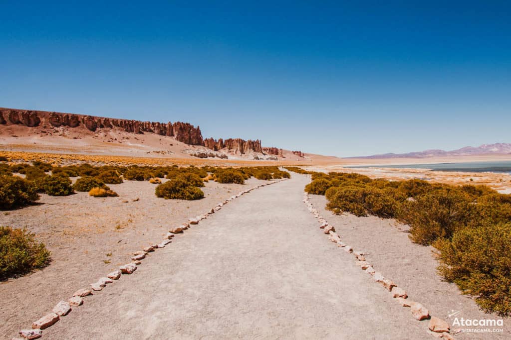 Salar de Tara no Deserto do Atacama, Chile | Foto: Robson Franzoi