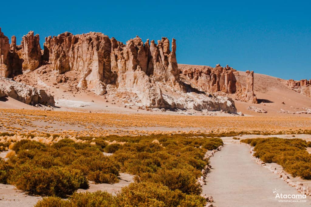 Salar de Tara no Deserto do Atacama, Chile | Foto: Robson Franzoi