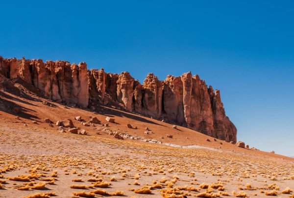 Salar de Tara, Deserto do Atacama - Chile