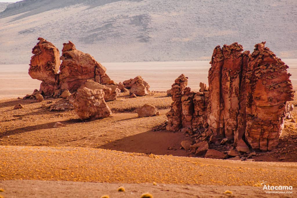 Salar de Tara no Deserto do Atacama, Chile | Foto: Robson Franzoi