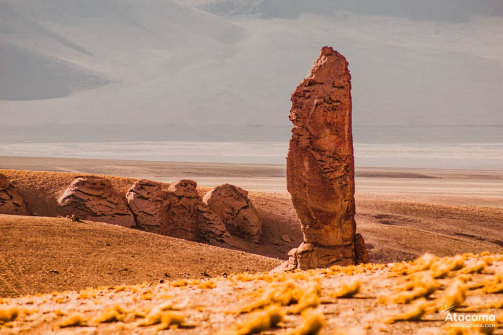 Salar de Tara no Deserto do Atacama, Chile | Foto: Robson Franzoi