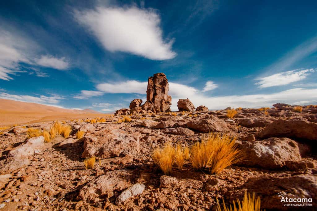 Salar de Tara no Deserto do Atacama, Chile | Foto: Robson Franzoi