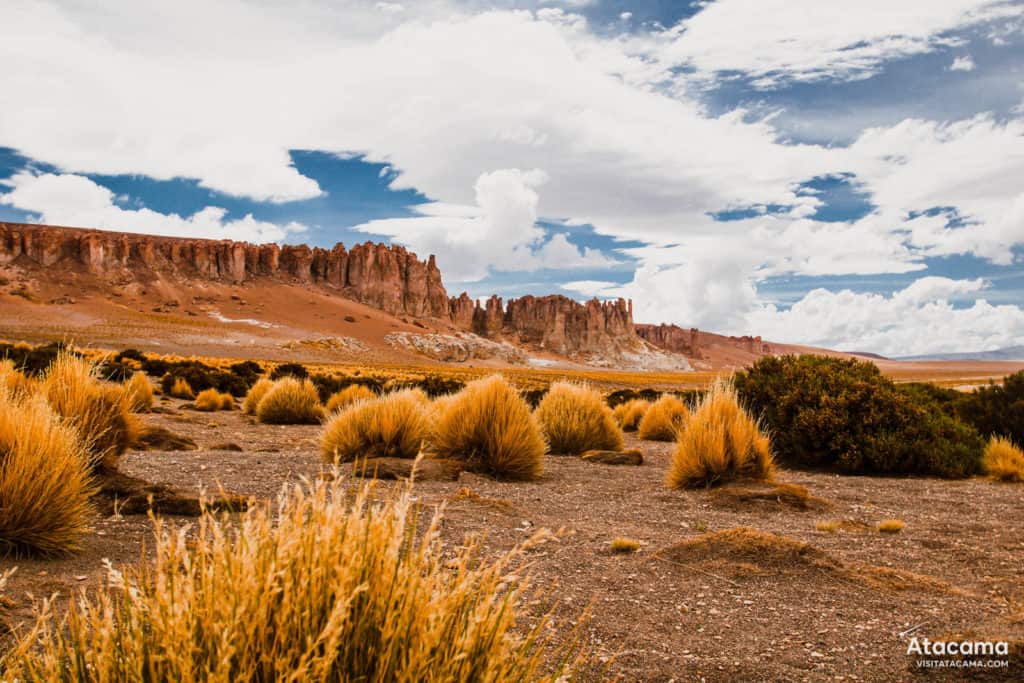 Salar de Tara no Deserto do Atacama, Chile | Foto: Robson Franzoi