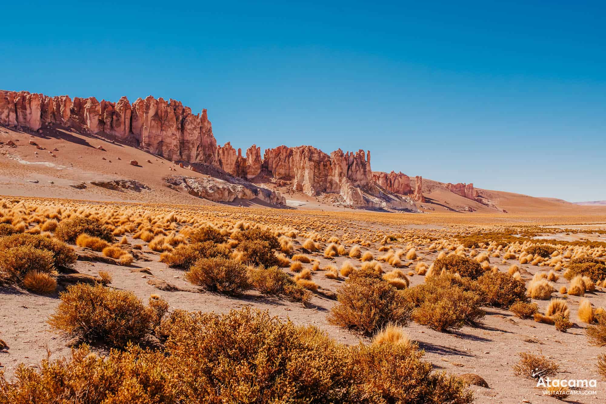 Seguro Viagem para o Atacama