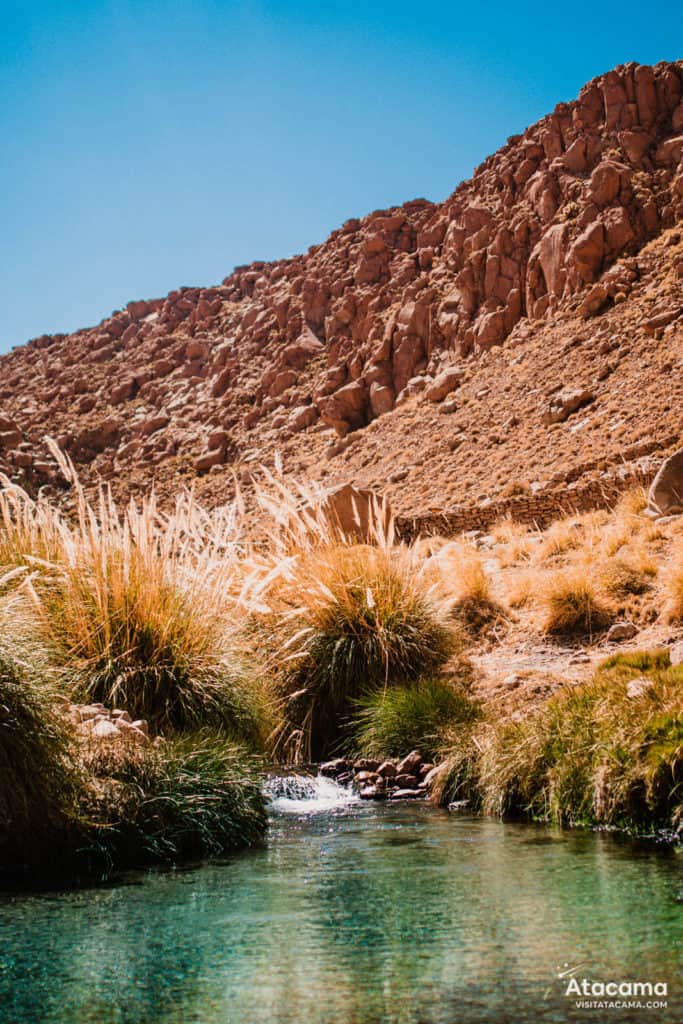 Termas de Puritama, Deserto do Atacama - Chile | Foto: Robson Franzoi