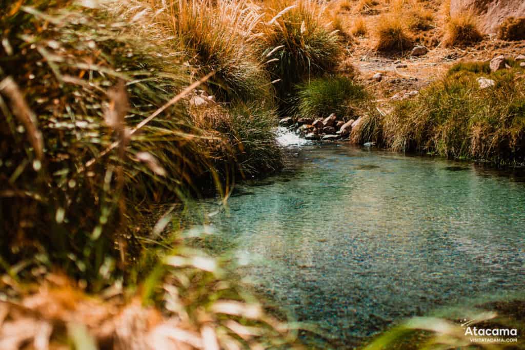 Termas de Puritama, Deserto do Atacama - Chile | Foto: Robson Franzoi Termas de Puritama, Deserto do Atacama - Chile | Foto: Robson Franzoi