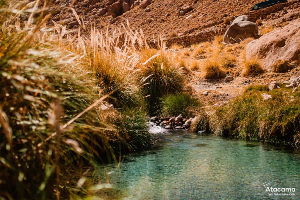 Termas de Puritama, Deserto do Atacama - Chile | Foto: Robson Franzoi Termas de Puritama, Deserto do Atacama - Chile | Foto: Robson Franzoi