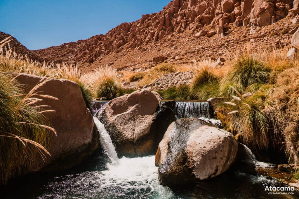 Termas de Puritama, Deserto do Atacama - Chile | Foto: Robson Franzoi