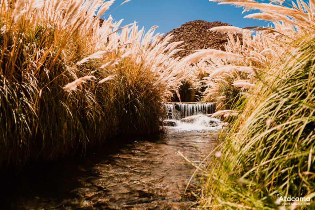 Termas de Puritama, Deserto do Atacama - Chile | Foto: Robson Franzoi Termas de Puritama, Deserto do Atacama - Chile | Foto: Robson Franzoi