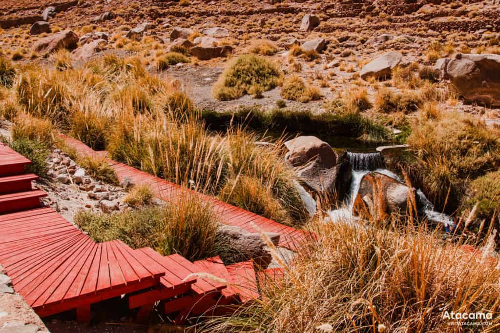 Termas de Puritama, Deserto do Atacama - Chile | Foto: Robson Franzoi Termas de Puritama, Deserto do Atacama - Chile | Foto: Robson Franzoi