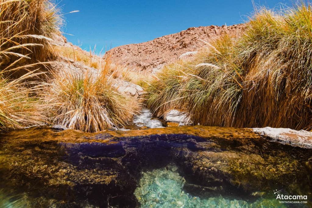 Termas de Puritama, Deserto do Atacama - Chile | Foto: Robson Franzoi