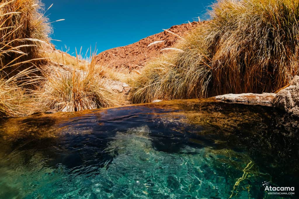 Termas de Puritama, Deserto do Atacama - Chile | Foto: Robson Franzoi