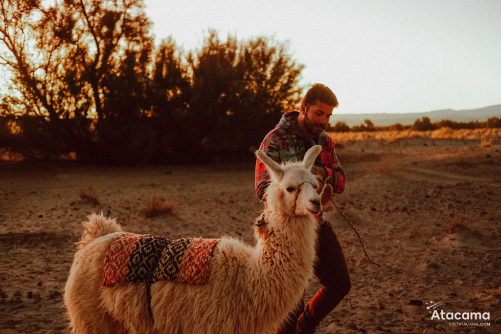 Acampar no Deserto do Atacama: com a melhor agência de aventura