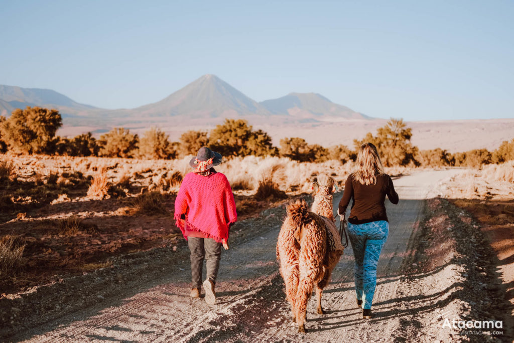 Acampamento no Atacama com agência Sorbac