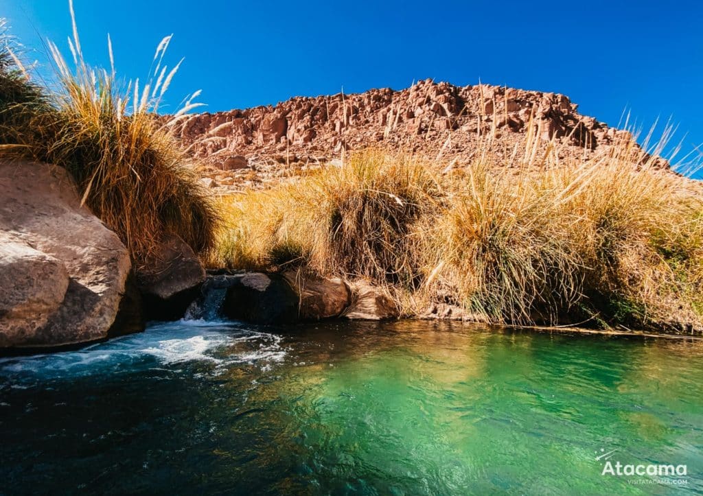 Passeios com FlaviaBia no Atacama: vale a pena?