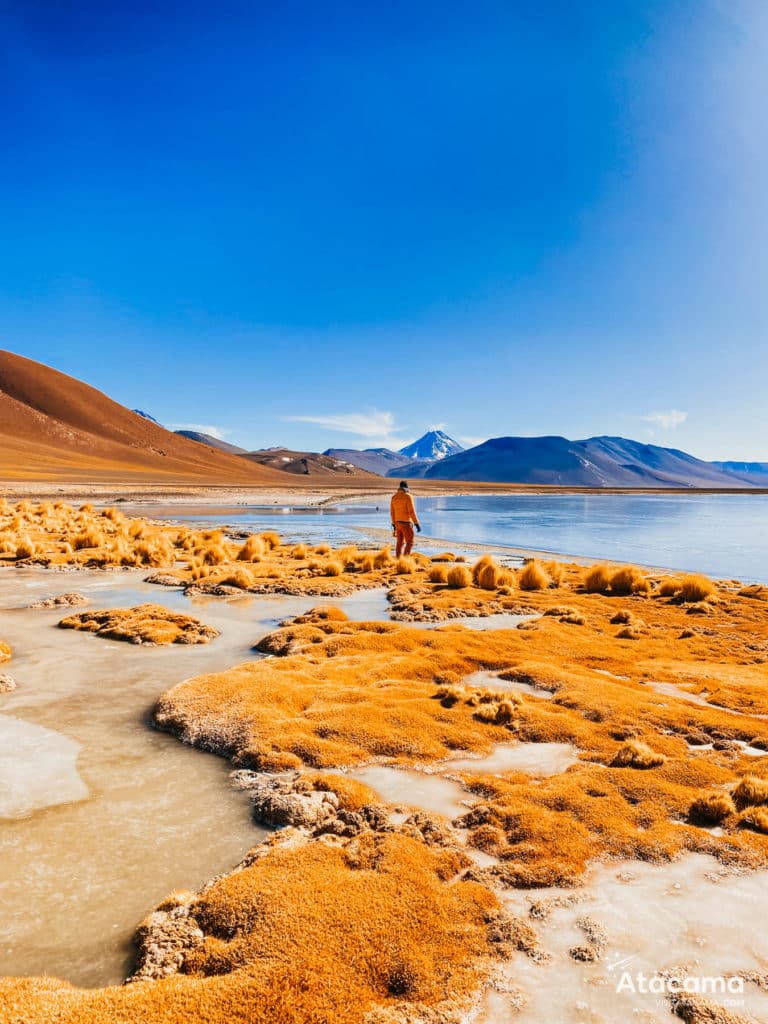 Miragens Andinas Atacama