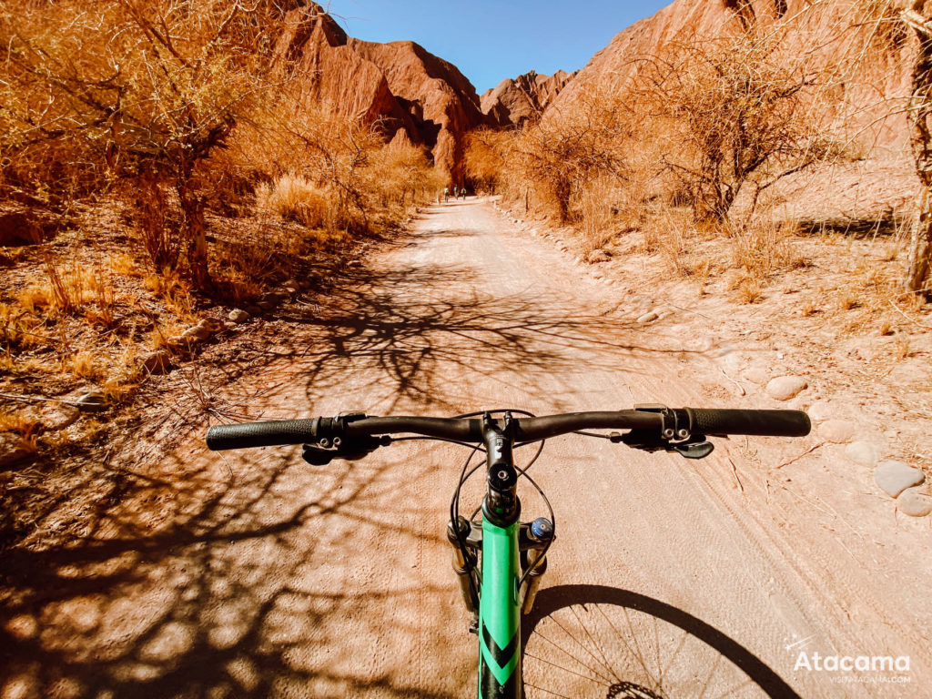 Passeio de Bicicleta no Deserto do Atacama - Bike na Garganta del Diablo