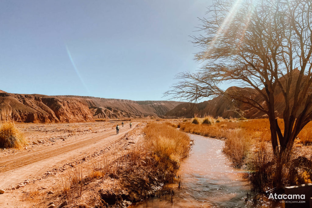 Garganta del Diablo - Passeio de bike no Atacama