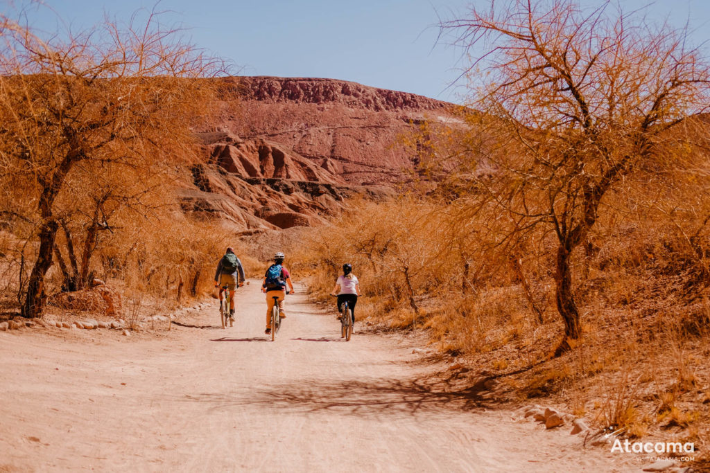 Passeio de bike no Atacama: Descubra a Garganta del Diablo