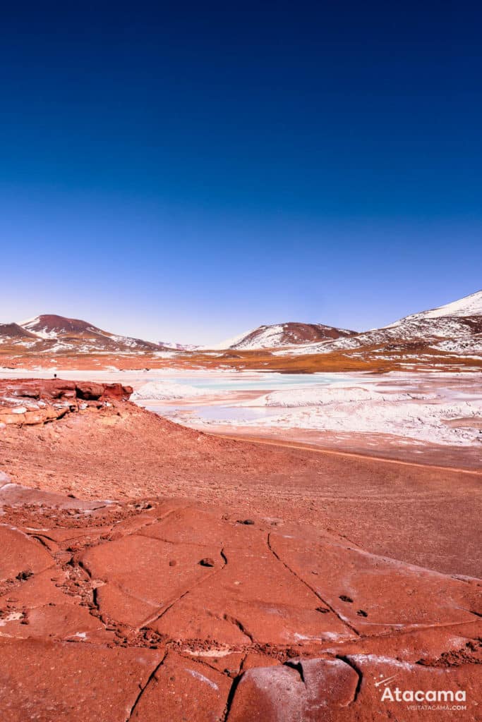Piedras Rojas - Deserto do Atacama
